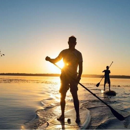 Paddle Board Rental